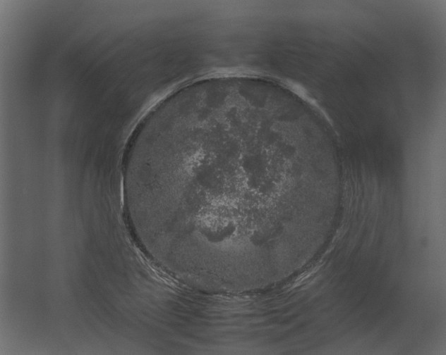 X0000067501221200604211716