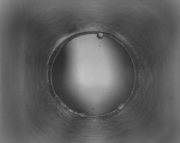 X0000067501222200604211716