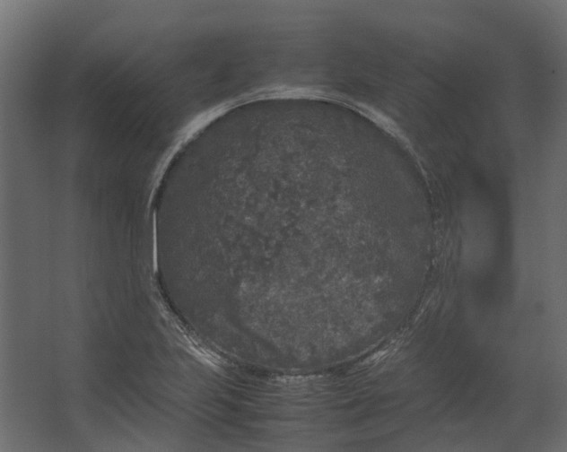 X0000067501223200604211716