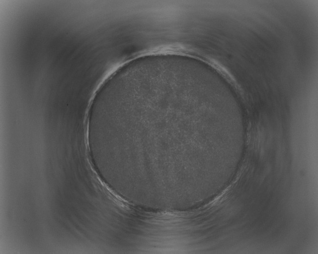 X0000067501224200604211716