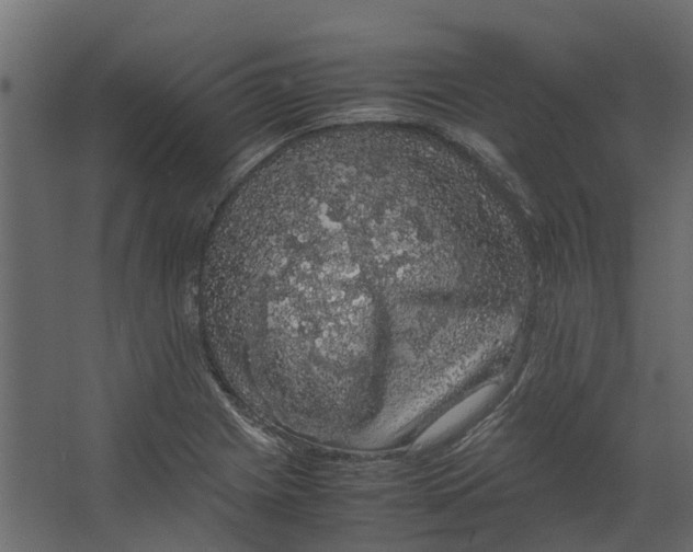 X0000067501225200604211716