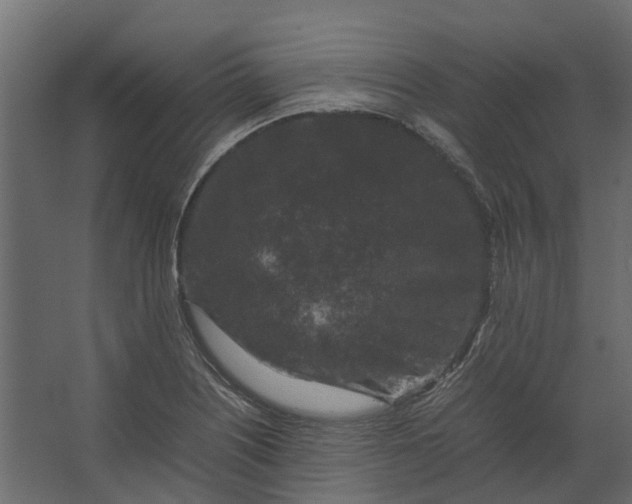 X0000067501226200604211716