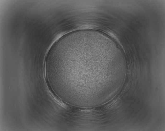 X0000067501227200604211716