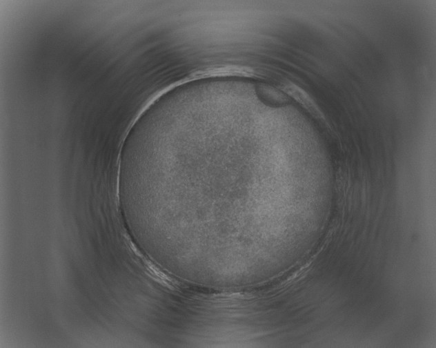 X0000067501228200604211716