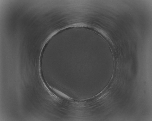 X0000067501229200604211716