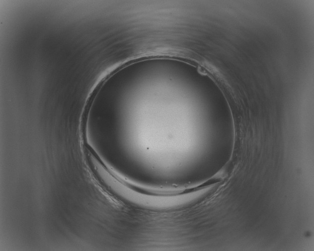 X0000067501230200604211716