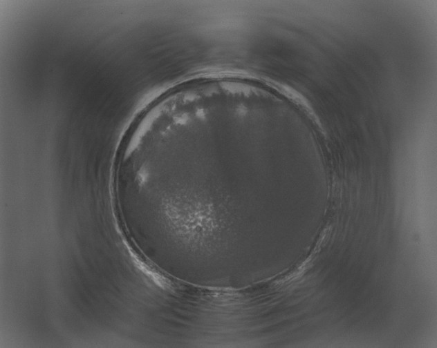 X0000067501231200604211716