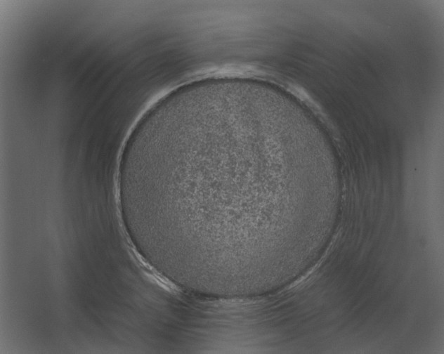 X0000067501232200604211716