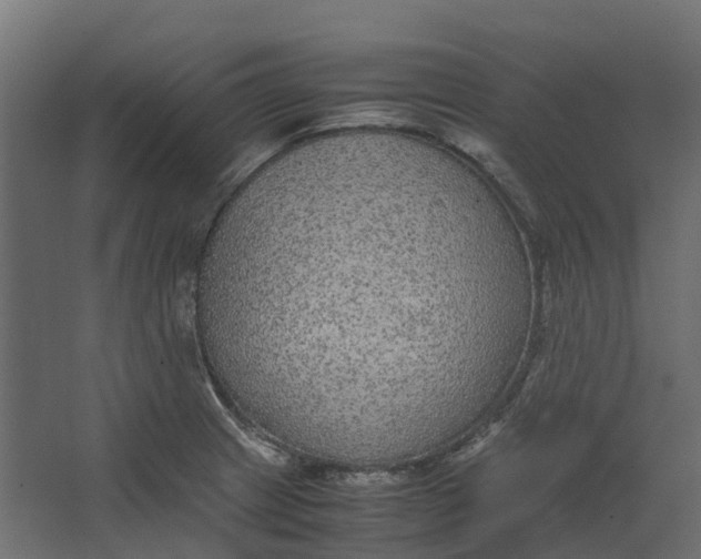 X0000067501233200604211716