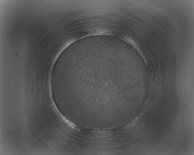 X0000067501235200604211716