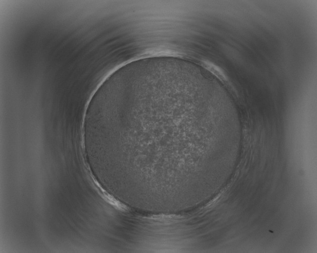 X0000067501236200604211716