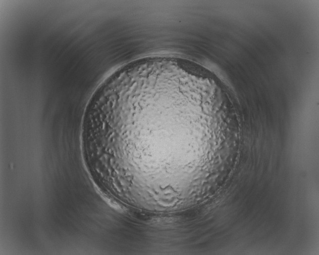 X0000067501237200604211716