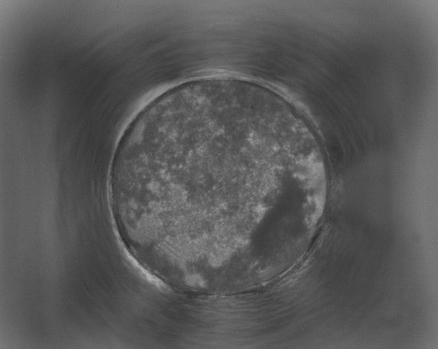 X0000067501239200604211716