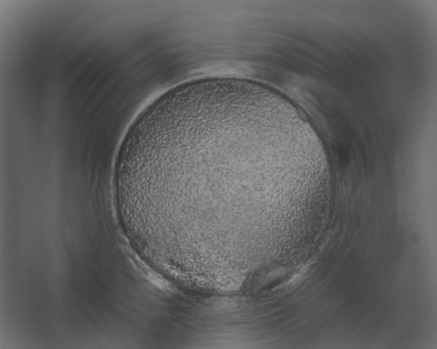 X0000067501240200604211716