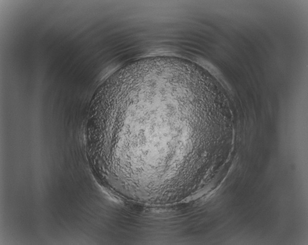 X0000067501241200604211716