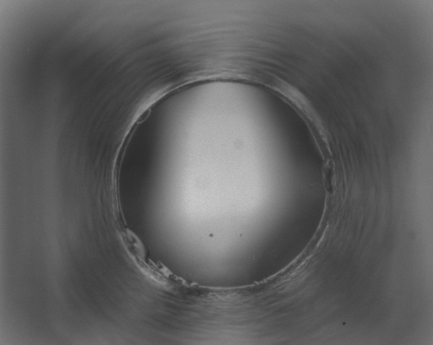 X0000067501242200604211717