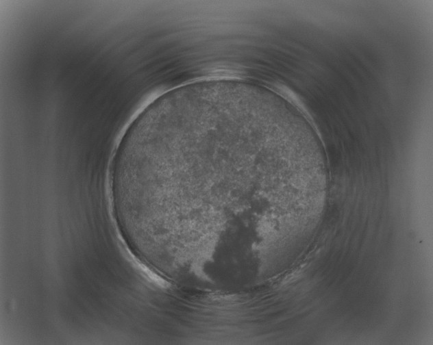 X0000067501243200604211717