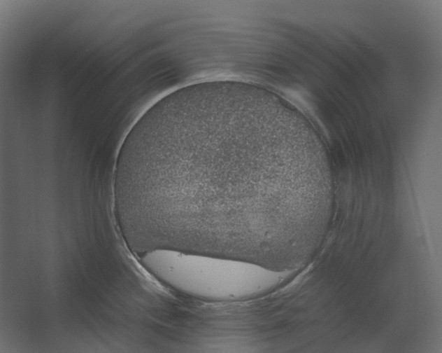 X0000067501244200604211717