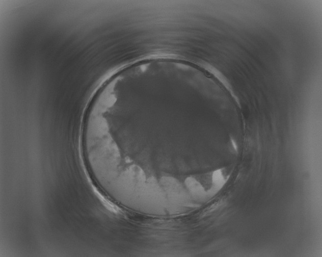 X0000067501245200604211717