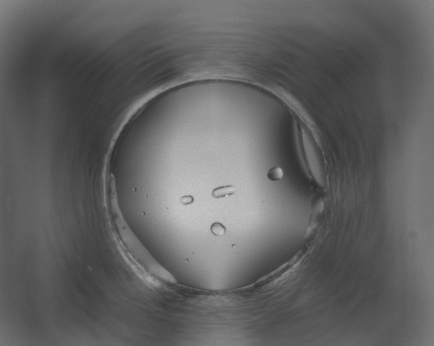 X0000067501246200604211717