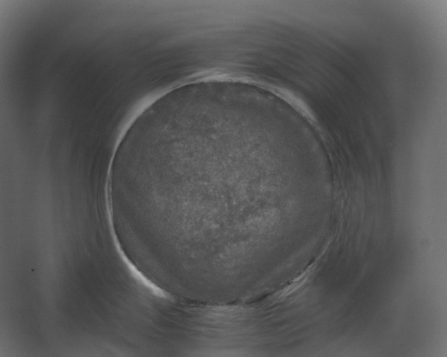 X0000067501247200604211717