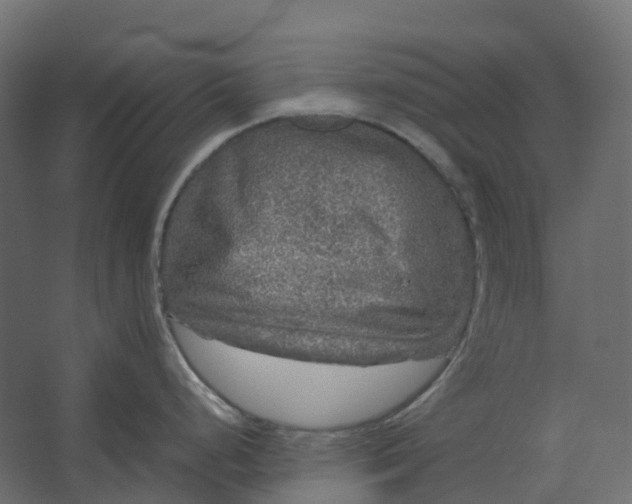 X0000067501248200604211717