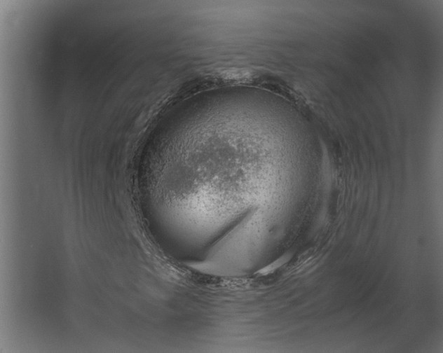 X0000067501249200604211716