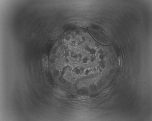 X0000067501251200604211716