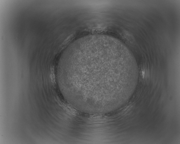 X0000067501252200604211716