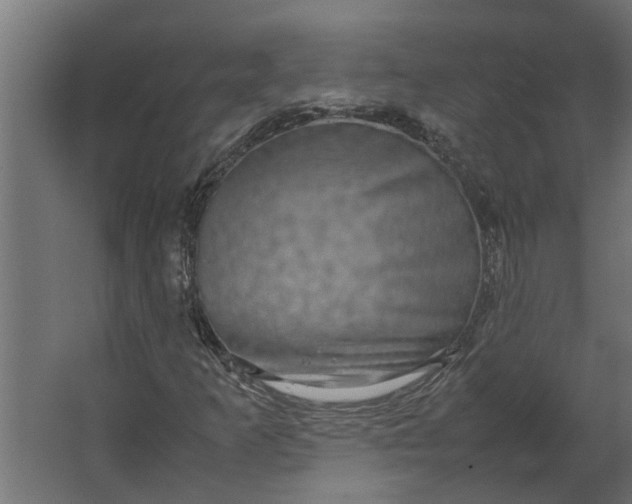 X0000067501253200604211716