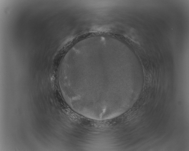 X0000067501254200604211716