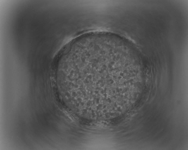 X0000067501255200604211716