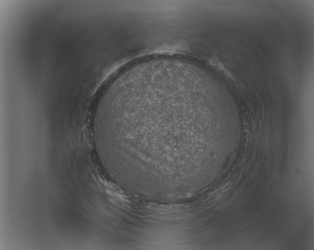 X0000067501256200604211716