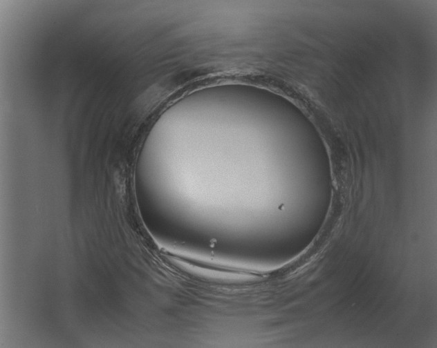 X0000067501257200604211716