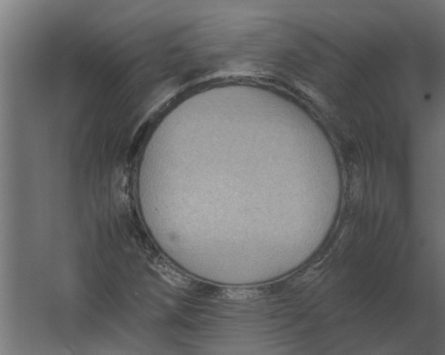 X0000067501258200604211716