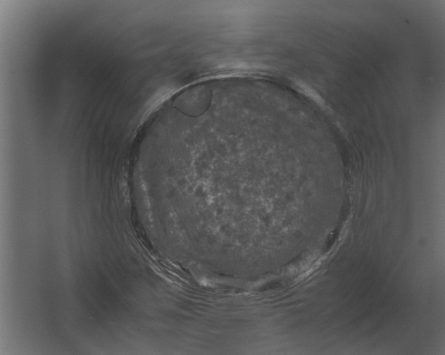 X0000067501259200604211716