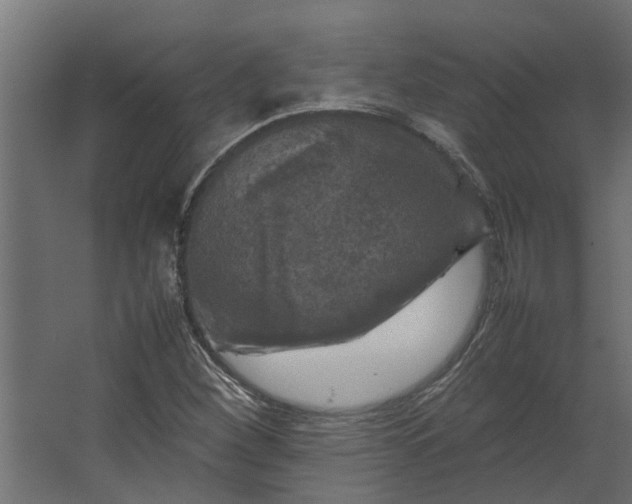 X0000067501260200604211716