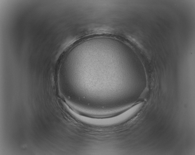 X0000067501261200604211716