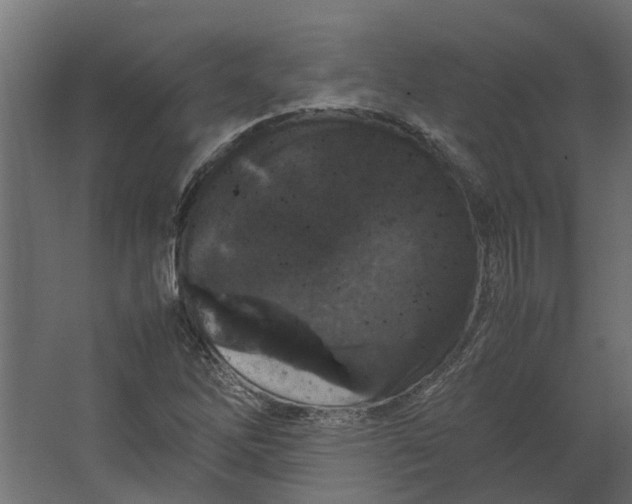 X0000067501262200604211716