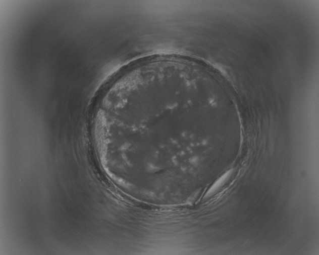 X0000067501263200604211716