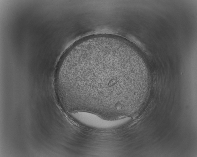 X0000067501264200604211716