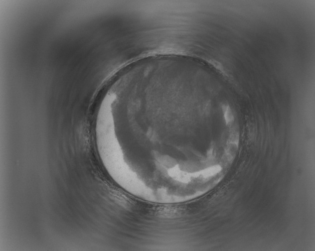 X0000067501266200604211716