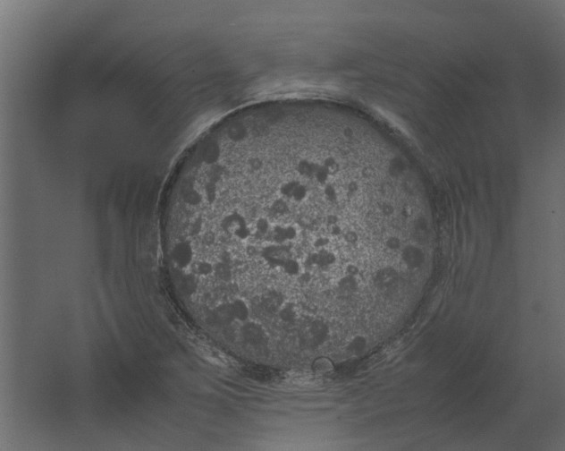 X0000067501267200604211716