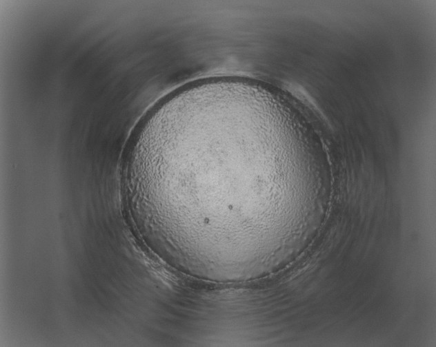 X0000067501268200604211715