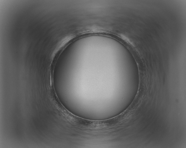 X0000067501269200604211715