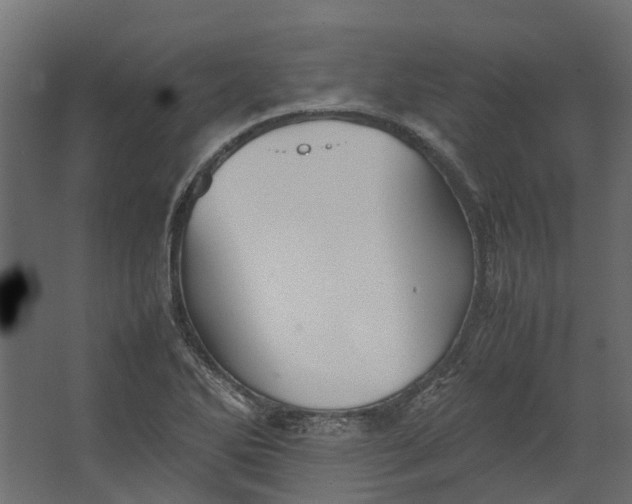 X0000067501270200604211715