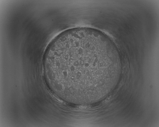 X0000067501271200604211715