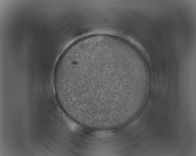 X0000067501272200604211715