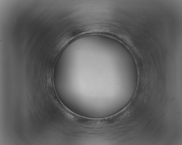 X0000067501273200604211715