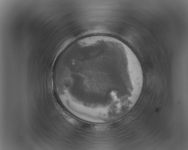 X0000067501274200604211715